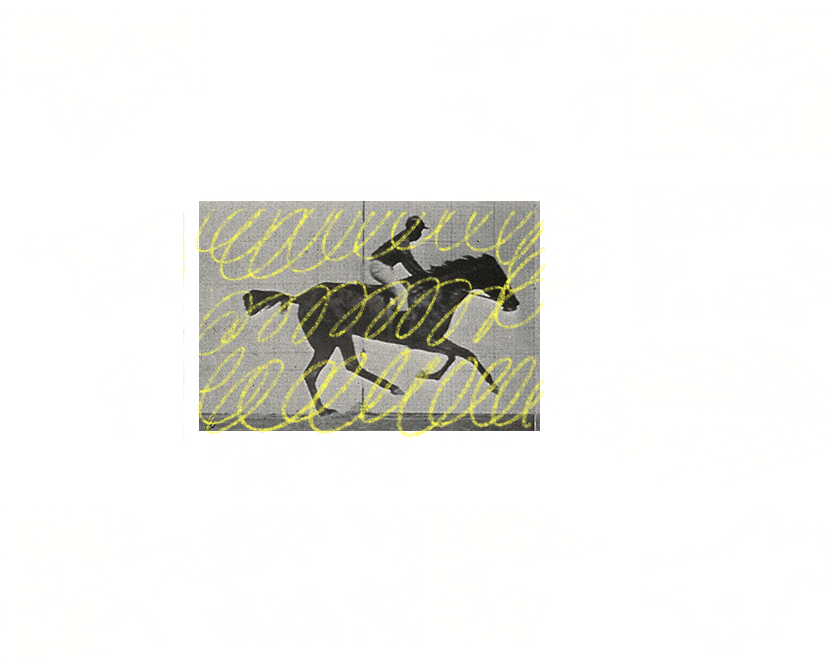 Caballos
